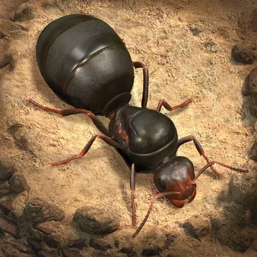 Enhance your The Ants: Underground Kingdom experience with Ant Coins