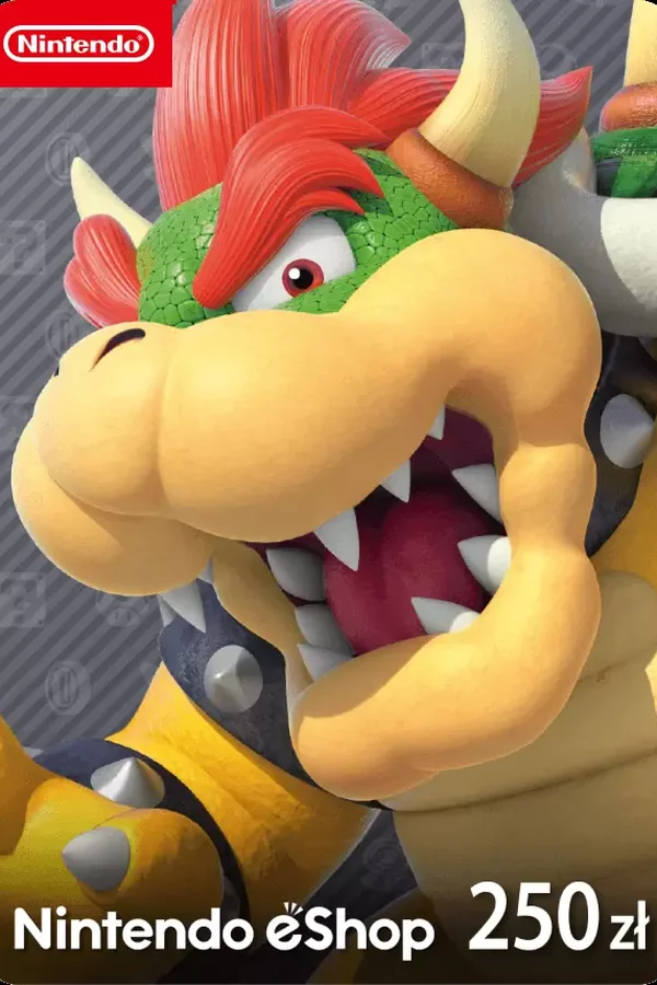Nintendo eShop Card 250zl