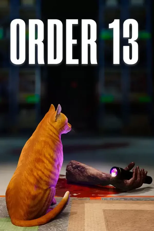 ORDER 13 Steam key WW (Global)